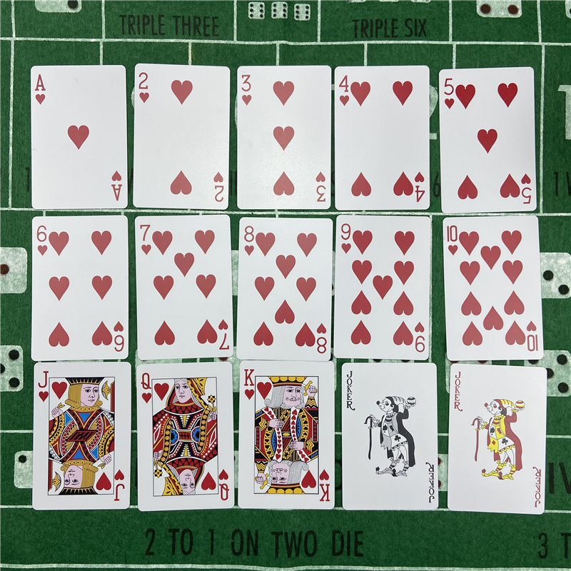 New 2pcs Playing Cards  Plasti - Board Game Yearbook avis et prix